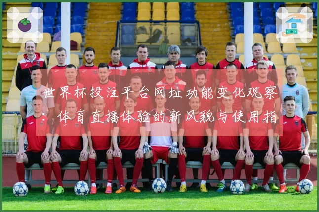 世界杯投注平台网址功能变化观察：体育直播体验的新风貌与使用指南